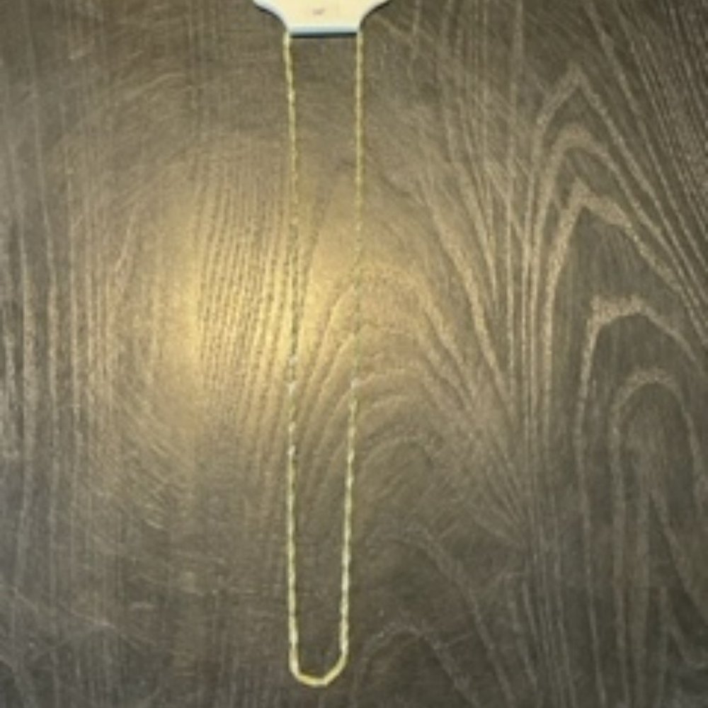 NWT Silver Reflection Gold Necklace